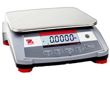 R31P3 Ohaus bench scale