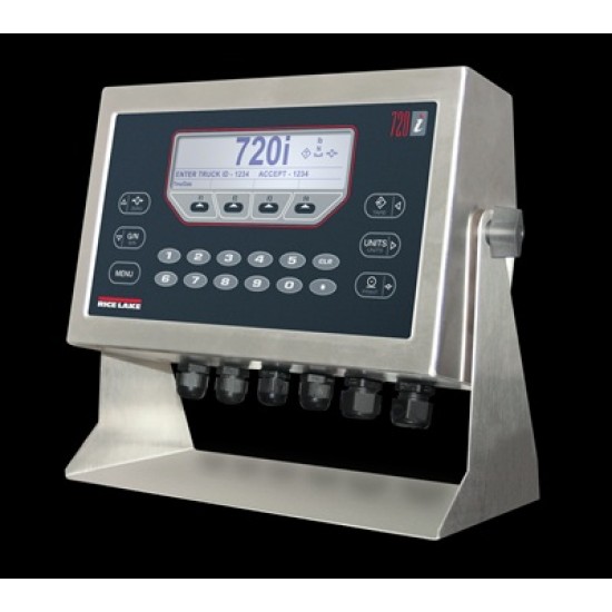 720i Legend Rice Lake indicator 101230