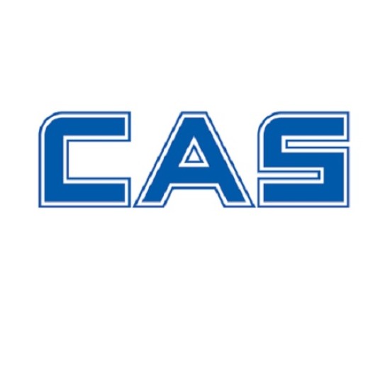 C0200 Bluetooth adapter master Cas