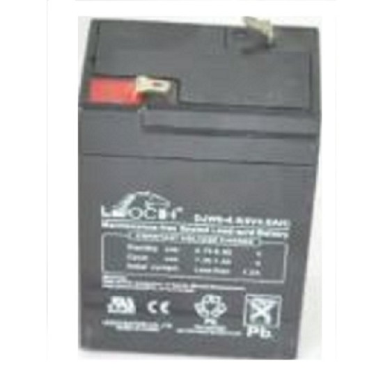 ZS25 Cas battery