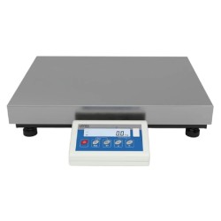 WLC60/C2/R Radwag industrial 60kgx1g