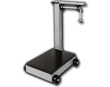 DETECTO mechanical scales