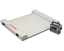 RW Detecto floor scale