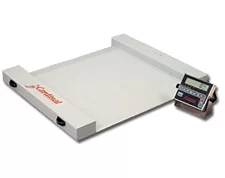 RW Detecto floor scale