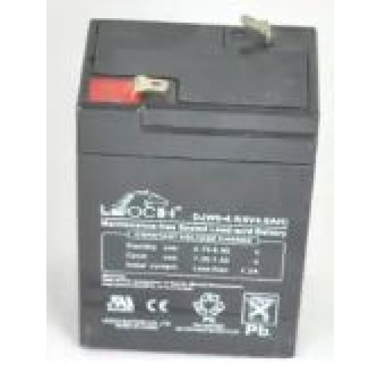 ZS25 Cas battery