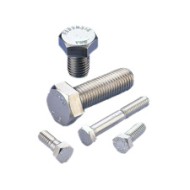 1/2-13x2-SS Hex head cap screw SS