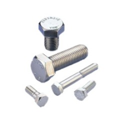 1/2-13x2-SS Hex head cap screw SS