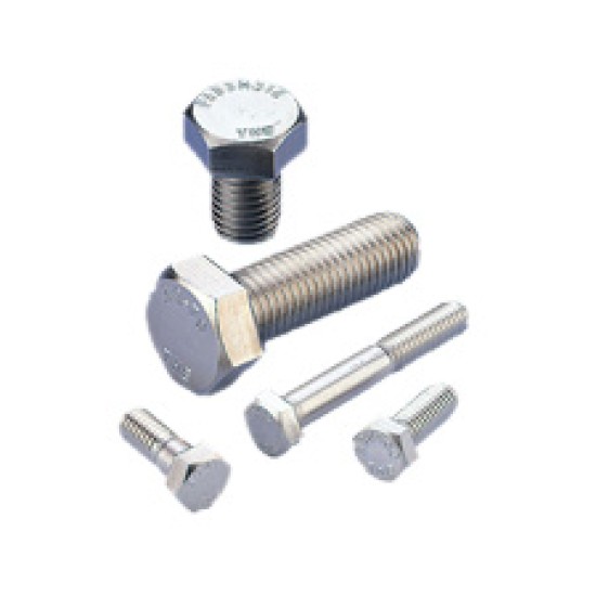 1/2-13x2-SS Hex head cap screw SS