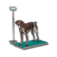 PS500-22S Salter animal scale 550x0.2 lb