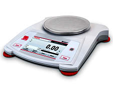 STX Ohaus Scout Bench Scale